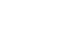 Orca