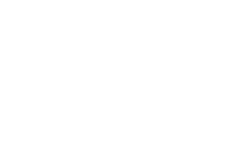 Palm-3