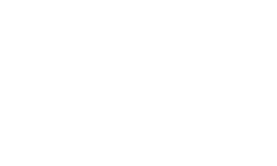 T5