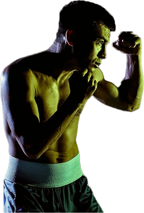 boxer