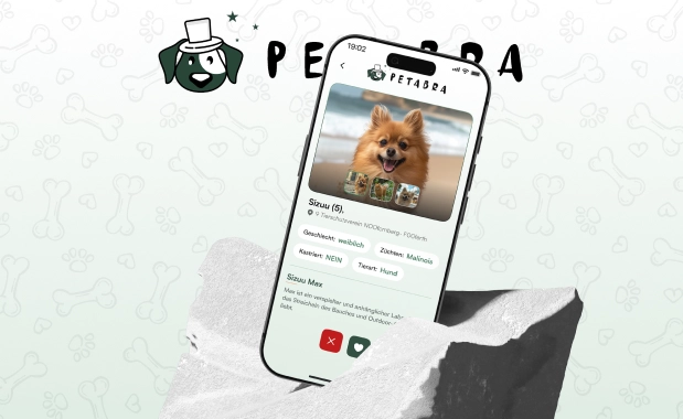 petabra-shelter-discovery