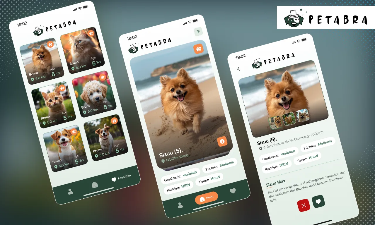 petabra-shelter-discovery