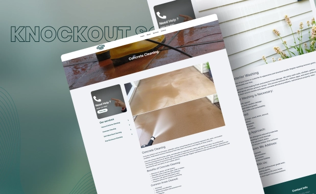 Knockout Soft Wash-Cleaning Services