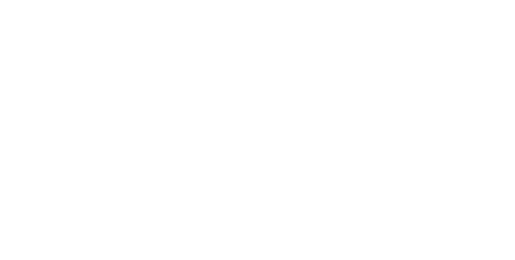 Wanderwings logo